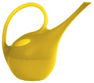 Contemporary Watering Cans by Amazon