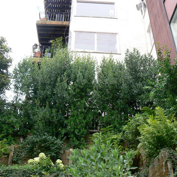 Greenwich Steps Compound