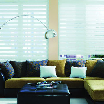 Allure Transitional Shades