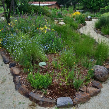 Lawn Conversion, Shingle Springs, CA