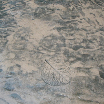 Stamped Concrete Fossil Inlay