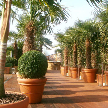 Panoramic Terrace