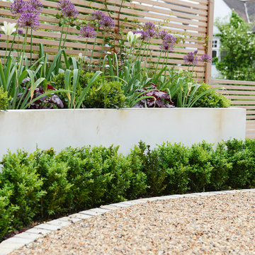 Front Garden - Court Lane