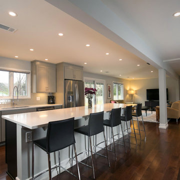 Mid-Century Remodel - Kitchen