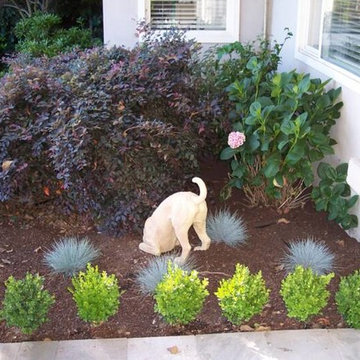 Garden Design
