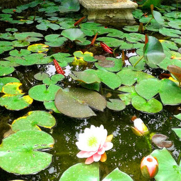 Water Gardens