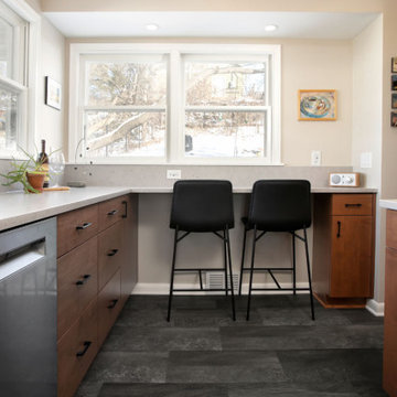 Project 3967-1 St. Paul Mid-Century Modern Kitchen