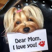 Gerald Devillier's photo