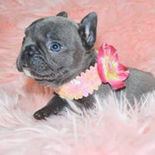 Terry Castonguay's photo