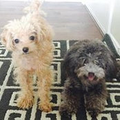 Mandy Luo's photo