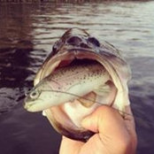 Tyson Leomo's photo