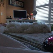 Foto von Cindy Tremblay