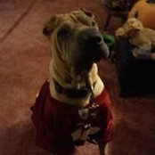 Amy Schmidt Westerman's photo