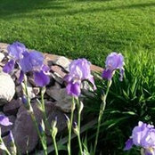 Wendy Dysart's photo
