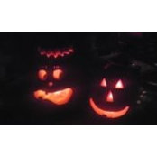 Scott Gregory's photo