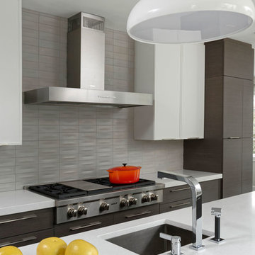 Chevy Chase, Maryland - Mid Century - Kitchen