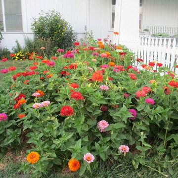 Beth's Garden 2015