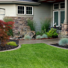 Landscape Ideas