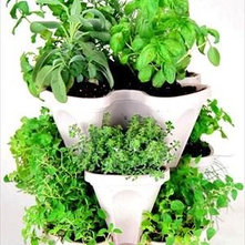 Contemporary Indoor Pots And Planters by Herb Kits