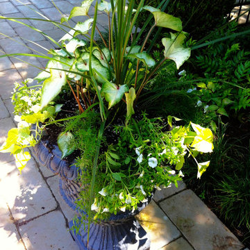 Southern Inspired Container Arrangements