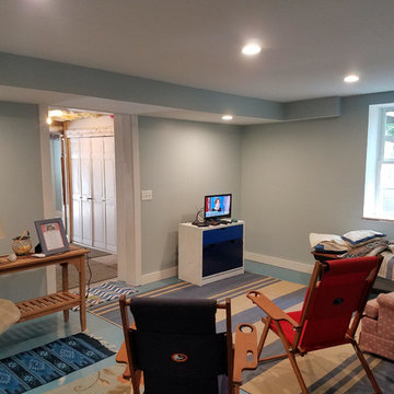 Basement Remodel with Bathroom Addition