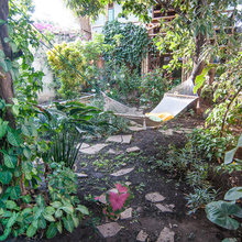 Shade Garden