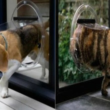 Pet Doors