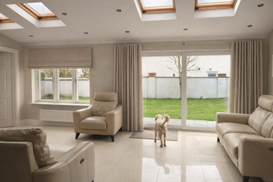 Inspiration for a contemporary living room remodel in Dublin