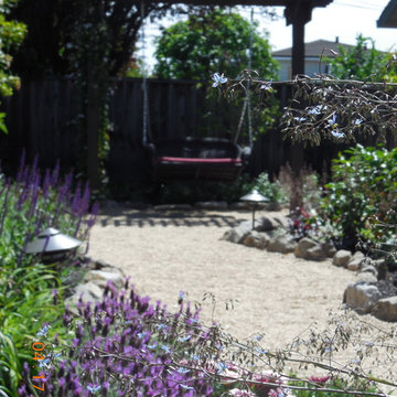 Leveroni garden - Concord