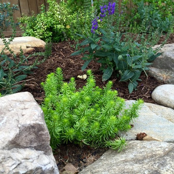 Planting details