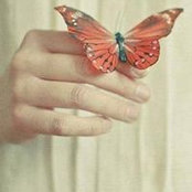 Kadriye Çelik's photo