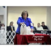 Pat Fernandes's photo