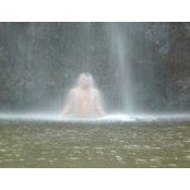 Anthony Pape's photo