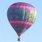 Debbie Craig's photo