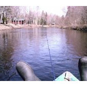 Tim Doiron's photo