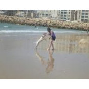 Tali Ish-Shalom's photo