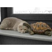 Linda Danger's photo