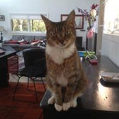 Jimmy Fez's photo