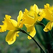 Melanie Gentry's photo