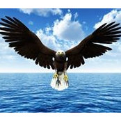 Ayman Baba's photo