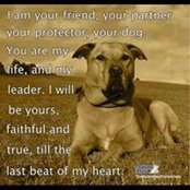 Michelle Isbell's photo