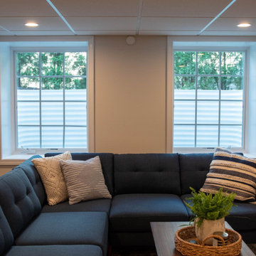 Basement Renovation