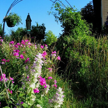 Garden Path in Bloom
