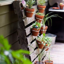 Back Deck