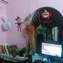 room Designs and garden
