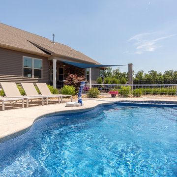 Pool, Structure and Patio Project