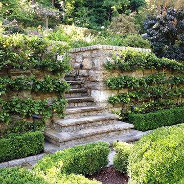 Espalier Tree Installations