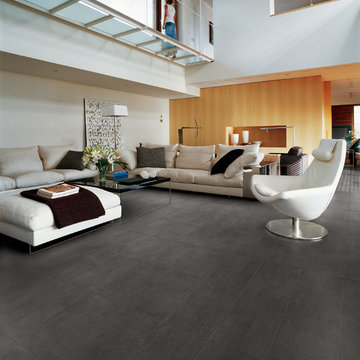 Contemporary Living Room