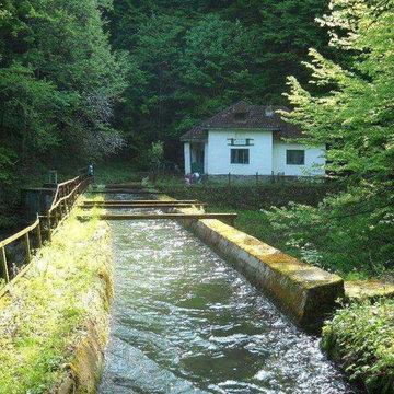 Canton Costea - remote mountain house