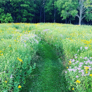 Native Plant Landscaping, Hardscaping, and Bioswales